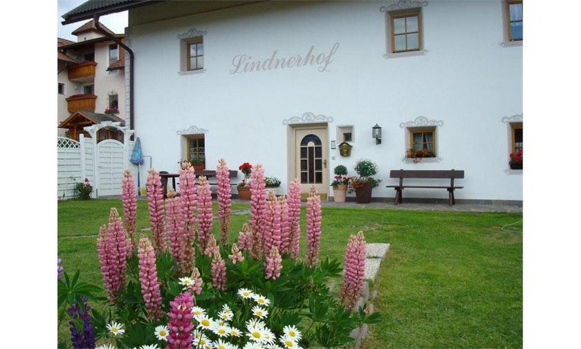 فندق Lindnerhof Urlaub Am Bauernhof سان لورينزو دي سيباتو المظهر الخارجي الصورة
